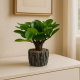 Artificial Plant